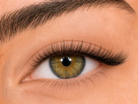 Clover Volume eyelash style