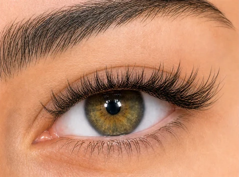 YY Volume Wispy eyelash style